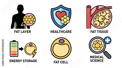 Medical Icons for Adipose Tissue and Fat Cell Biology
