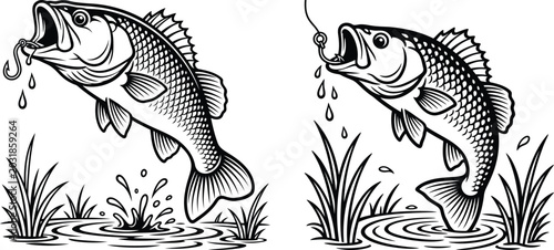 Tableau sur toile Vintage engraving of largemouth bass catching a fishing lure