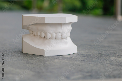 A White Gypsum Plaster Dental Cast Model Showing Upper and Lower Teeth Occlusion Placed Separately on an Outdoor Grey Concrete Stone Surface Background