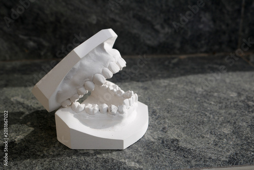 A White Gypsum Plaster Dental Cast Model Showing Upper and Lower Teeth Occlusion Placed Separately on an Outdoor Grey Concrete Stone Surface Background