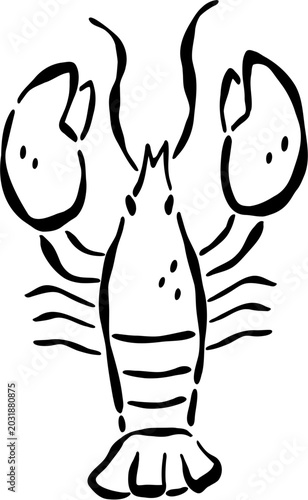 Photos Crayfish illustration, isolated on black, simple line art