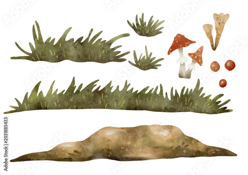 Schilderij op canvas Forest Fungi Illustrations