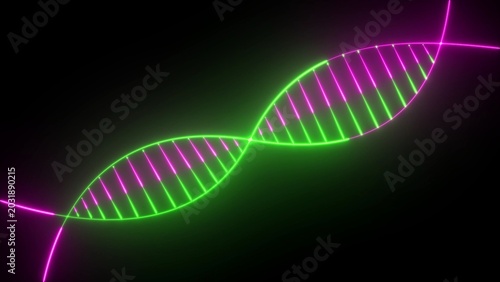 Fotografie Neon pink and green DNA double helix structure rotating on a dark background deo