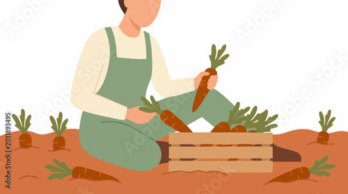 Tableau sur toile Gardener harvesting fresh organic carrots in a garden, flat illustration