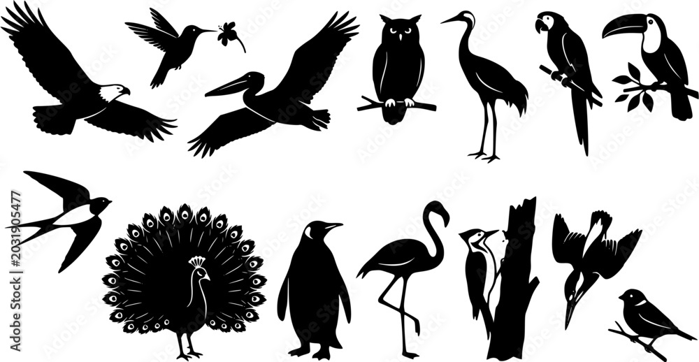 Naklejka premium Set of wild bird silhouettes including eagle, parrot, penguin and flamingo, collection of various avian species in black style.