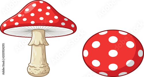 Foto Red Amanita Muscaria Mushroom Vector Set with Front View and Top Cap View of Fly