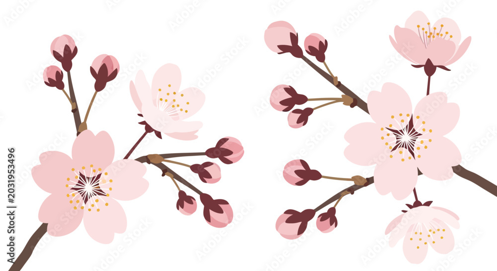 Obraz premium Delicate Blossom Branch Illustration, Floral Design on White