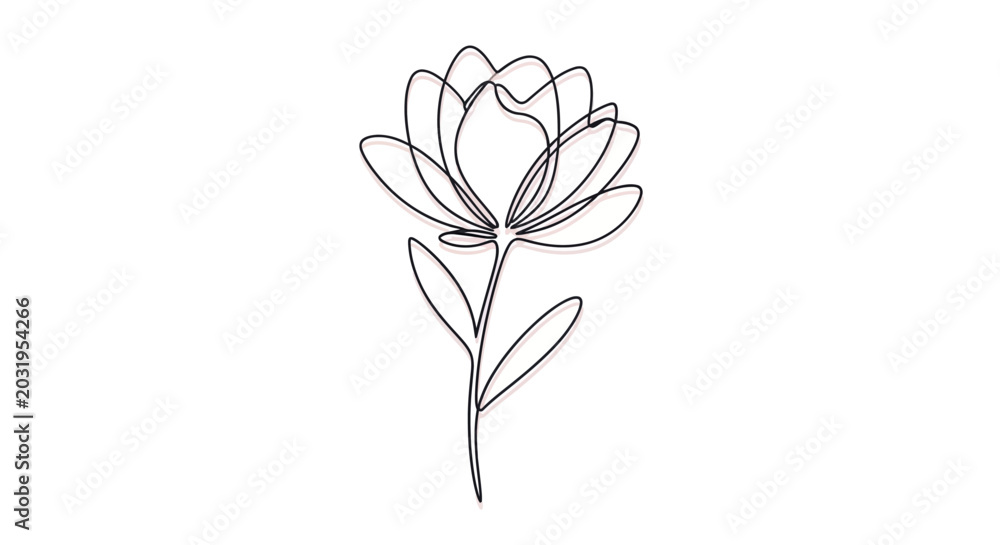 Obraz premium Minimalist flower line art, delicate botanical illustration, isolated on white