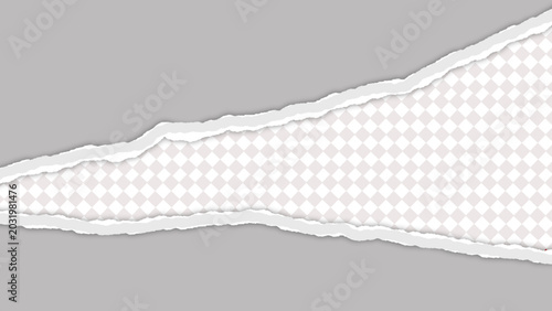 Torn Paper Ripped Edge Horizontal Reveal Mockup With Checkerboard Transparent Background and Layered Texture
