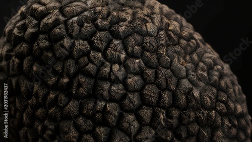warty. Extreme close-up of a fresh black truffle's textured surface. menu design, packaging mockups, designed for food delivery and cloud-kitchen brand materials, used by clinicians.