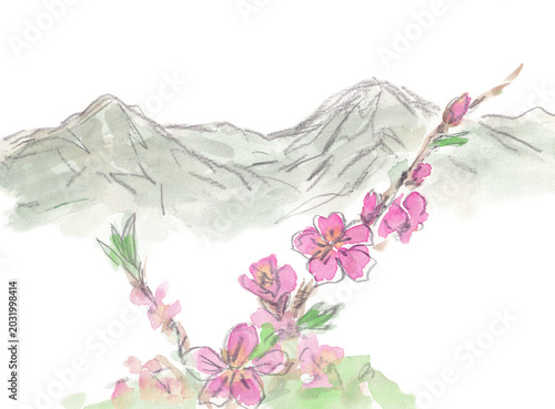 Photos 桃の花と権現堂山