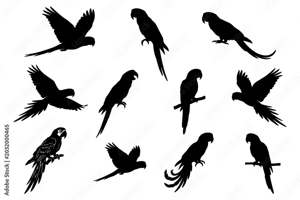 Naklejka premium Silhouette collection of parrots and macaws in various poses.