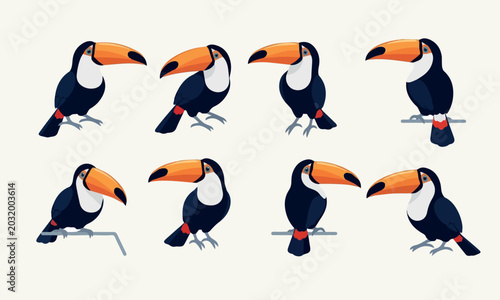 Ilustração vetorial de tucano tropical colorido em diferentes poses isolado