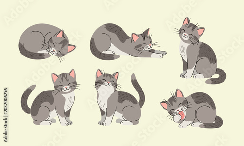 Vector illustration of cute cats in different poses set of domestic cartoon cats