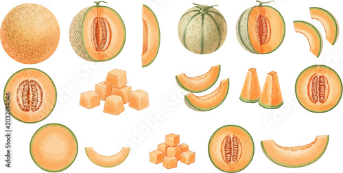 Obraz na plátně Collection of fresh cantaloupe illustrations, including whole, half, sliced, and diced pieces, showcasing the vibrant orange flesh and healthy fruit