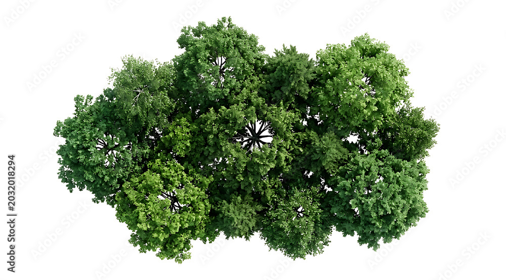 Fototapeta premium Aerial view of a lush green tree canopy with dense foliage