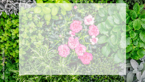 Colorful mix of flowers and plants in a garden during springtime with various shades of green and hints of pink