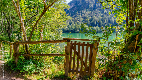 Fotografía Walking trail leads to water view with wooden gate at nature spot in bright dayl