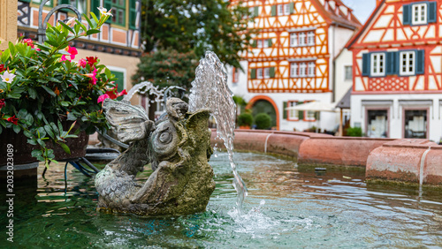 Tableau sur toile Fountain with fish sculpture spouting water in a historic town square surrounded
