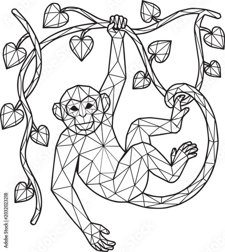 Photography Geometric stylized monkey hanging on vines with heart shaped leaves in black and