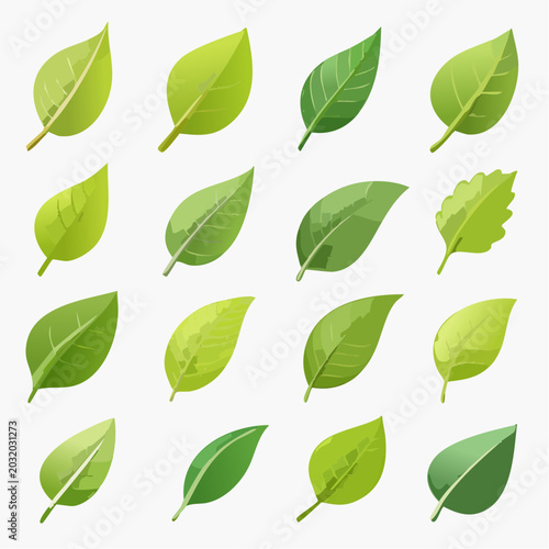 Collection of various green leaf illustrations on a white background, showcasing different shapes and textures