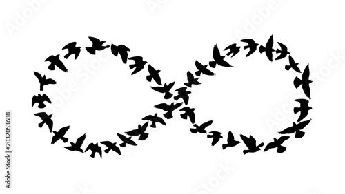 Konstfotografi Infinity Symbol Made of Flying Birds Silhouette