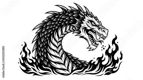Foto Fierce Dragon Head Emerging from Flames Black and White Illustration