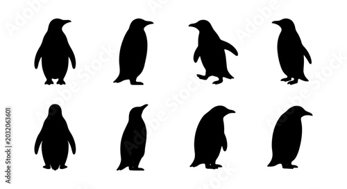 Slika na platnu Penguin Silhouettes Collection: Antarctic Wildlife, Bird Poses, Vector Icons