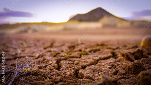 Bild auf Leinwand Dry earth cracking