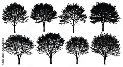 Bilde på lerret Tree silhouettes against a white background collection of eight distinct shapes