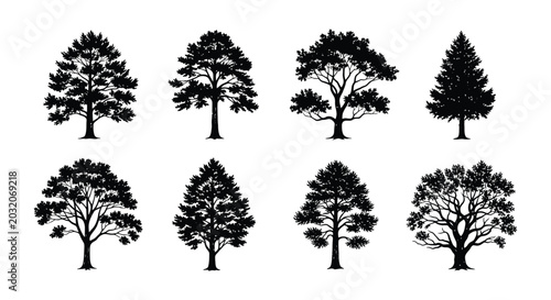 Foto Tree silhouettes collection on a white background vector illustration