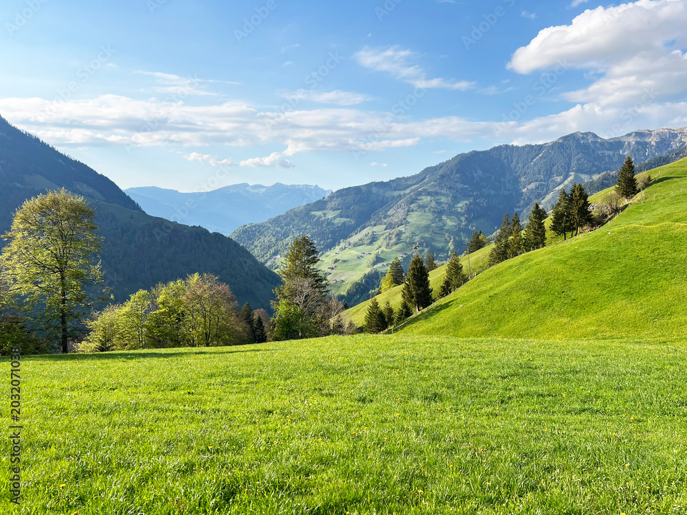Obraz premium Alpine meadows and pastures on the slopes of the Uri Alps mountain massif and in the alpine valley Melchtal - Canton of Obwalden, Switzerland (Kanton Obwald, Schweiz)