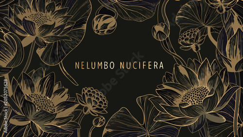 Foto Golden lotus flowers and seed pods form a detailed vector illustration on a dark
