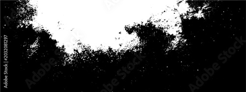 Obraz na płótnie Abstract black and white cloud-like splash with textured particle effect