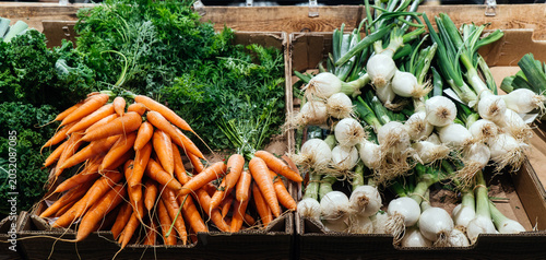 Fresh organic carrots and green onions displayed in wooden crates at a farmer's market, surrounded by leafy greens and vibrant vegetables
