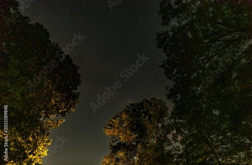 time lapse of trees in the night