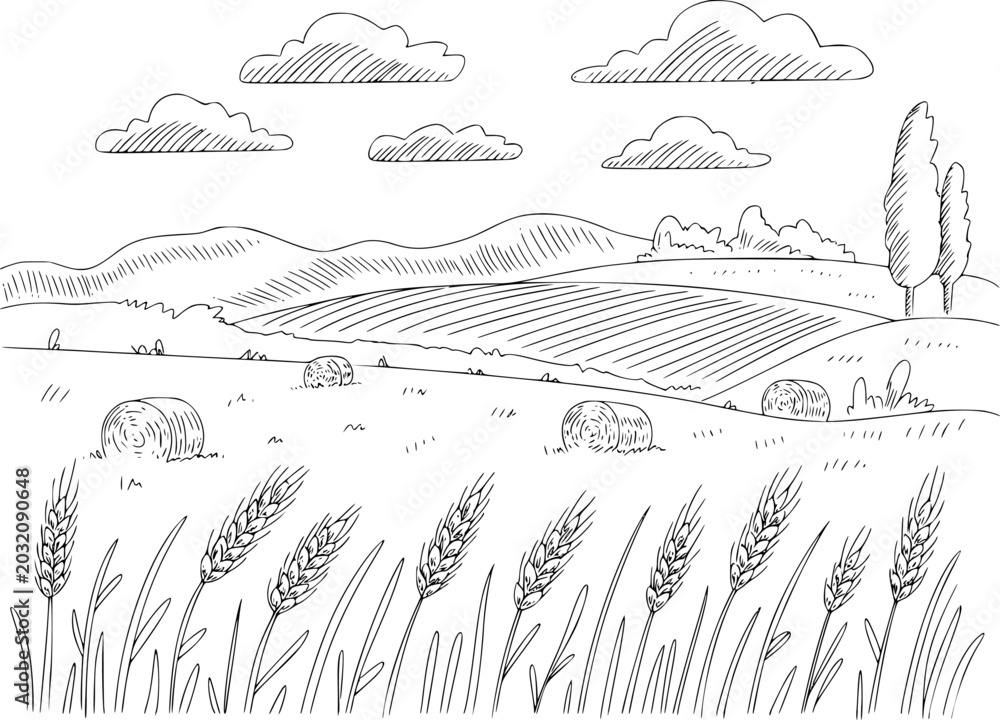 Naklejka premium Hand-drawn of a rural wheat field with hay bales and rolling hills