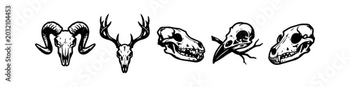 Photography Distressed Animal Skull Hand Drawn Vector Icon Set
