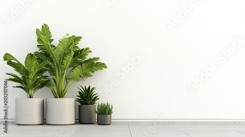 Modern minimalist scene Four diverse green potted plants in concrete and dark grey pots against a bright white wall and tiled floor. Clean interior design, copy space concept. Home