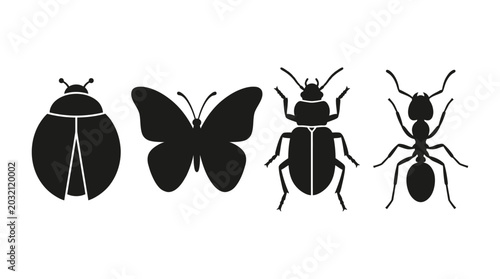 Photos Insect Silhouettes Featuring Ladybug Butterfly Beetle And Ant Silhouette
