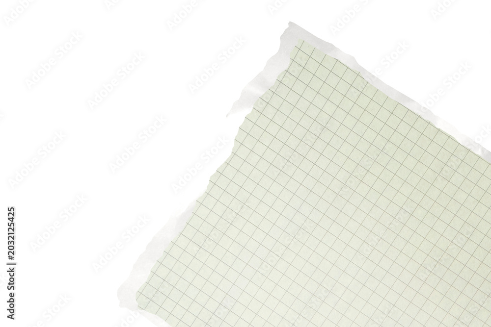Fototapeta premium Torn graph paper piece isolated on white background with copy space ripped corner of green grid notebook sheet note pad element for scrapbooking collage minimalist graphic design layout.