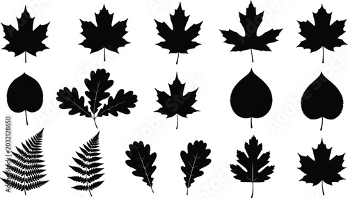 Foto Autumn leaves and forest foliage black silhouette vector set containing maple oa