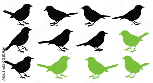 Foto Silhouette Birds Pattern: Black and Green Contrasting Group