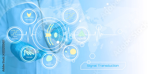Fotografija Illustrative depiction of biological signal transduction pathways with receptors