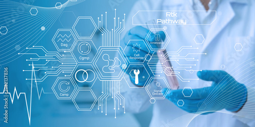 Billede på lærred Scientist using digital interface illustrating cell signaling pathways and molec