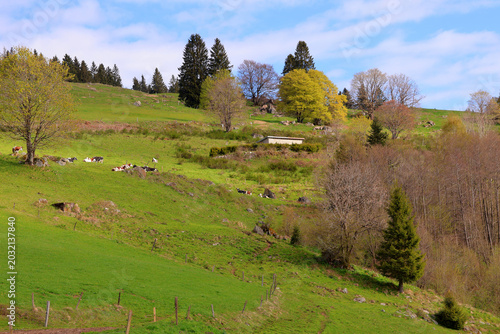 Fotografie Paysage tranquille le long de la colline