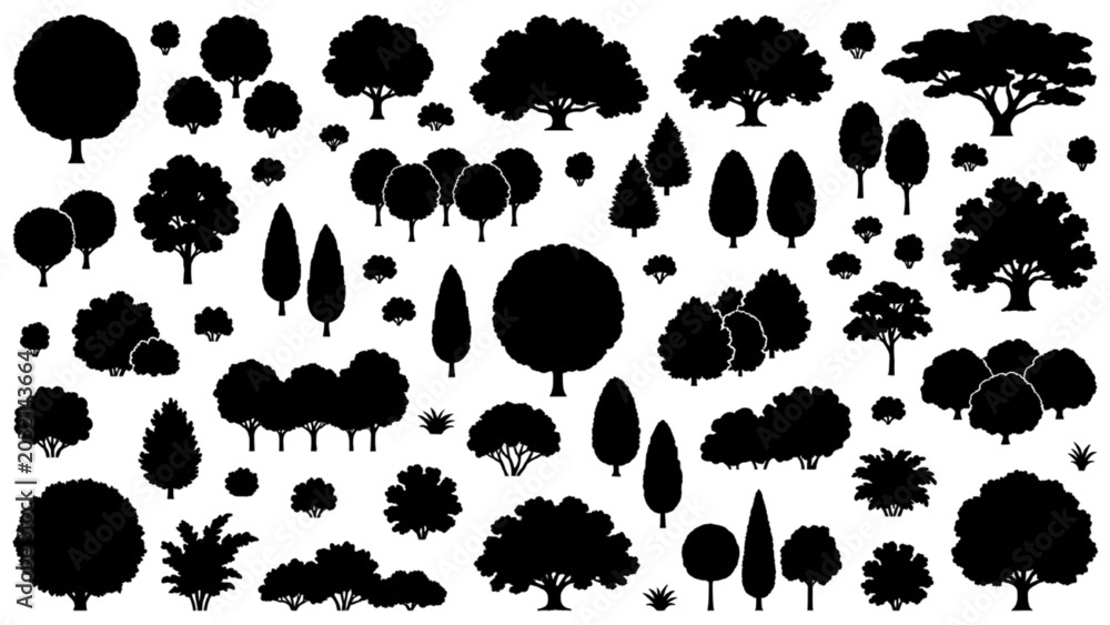 Fototapeta premium Landscape Tree CAD Library with Conifers Deciduous Vegetation and Planting Symbols