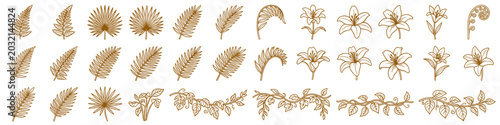 Decorative tropical leaves and lily flowers hand drawn with golden contour lines on transparent background. Vintage jungle fern wreaths collection. Set of circular natural design element.Vector