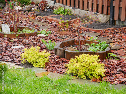 Backyard garden with wooden raised bed and organic mulch. Landscape design with ornamental shrub and stone path. Residential landscaping project for home exterior environment.