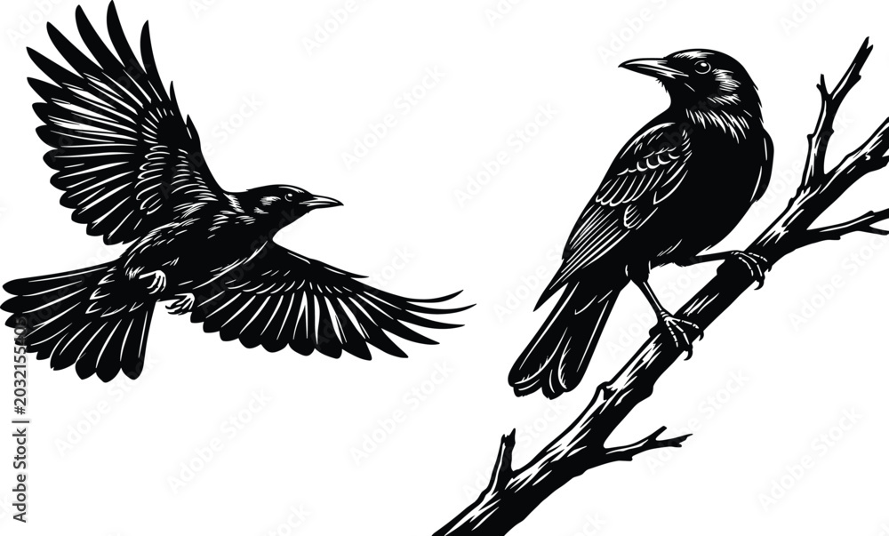 Fototapeta premium Detailed Engraving Style Crow and Raven Vector Set Featuring One Bird Flying and One Perched on a Tree Branch for Gothic and Nature Designs
